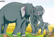 The story of mice and elephants